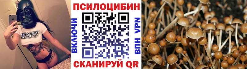как найти наркотики  Череповец  blacksprut зеркало  Галлюциногенные грибы ЛСД 