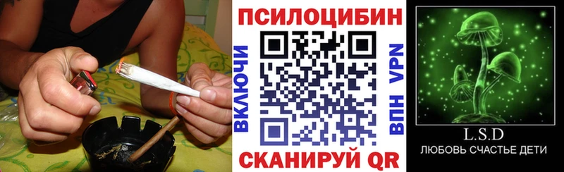 Псилоцибиновые грибы Cubensis Череповец