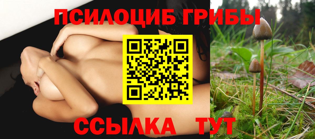 Псилоцибиновые грибы MAGIC MUSHROOMS  Вход с VPN  цена   Череповец  Псилоцибиновые грибы Magic Shrooms 